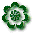 �i����S